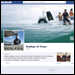 Sealegs of Texas Facebook Page